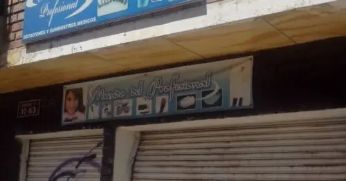 MUNDO DEL PROFESIONAL MUNDO DEL PROFESIONAL